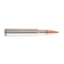 MUNITION GRANDE CHASSE...