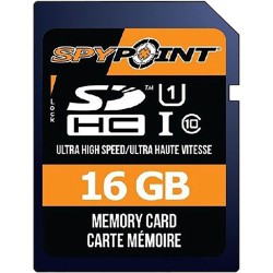 SD CARD (8 OU 16 GB)