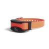 SDR-AFE COLLIER SUPPL PETIT CHIEN