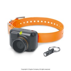DOGTRA STB - HAWK L