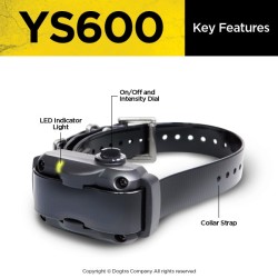 YS600