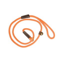 laisses de dressage orange...