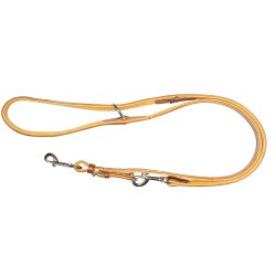 LAISSE DE DRESSAGE CUIR...