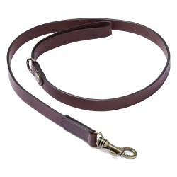 laisse pour chien -...