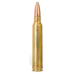 MUNITION DE GRANDE CHASSE...