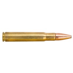 munition grande chasse...