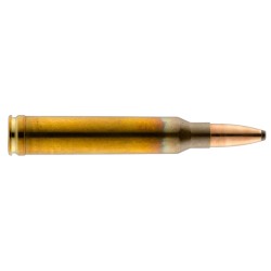 munitions de grande chasse...