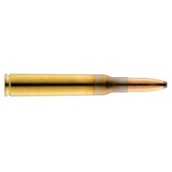 munitions de grande chasse...