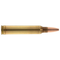 munitions de grande chasse...