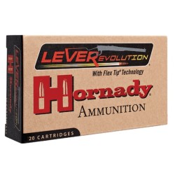 45-70 govt 250 grs hornady