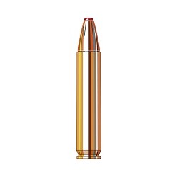 45-70 govt 250 grs hornady