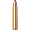 45-70 govt 250 grs hornady