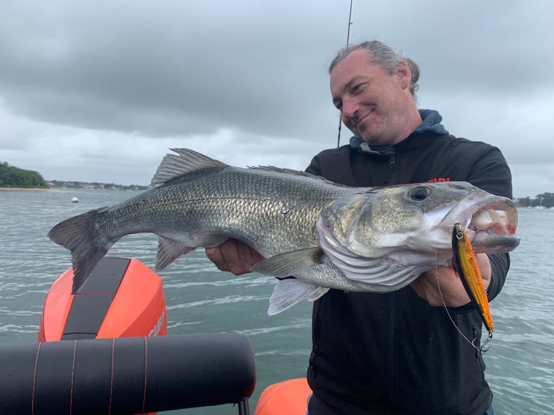 La pêche aux poissons nageurs permet de capturer des bars de toutes tailles.