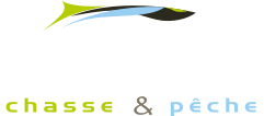 Alcédo