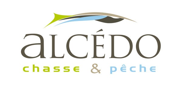 alcedo