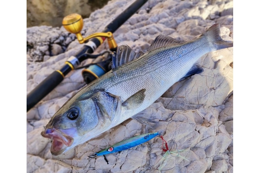 Les bons critères pour choisir sa canne à pêche