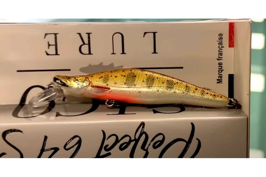 Présentation de la gamme Sico Lure 2024 et du nouveau perfect 64s et 84s