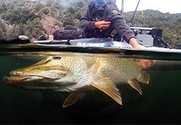 La pêche du brochet en automne