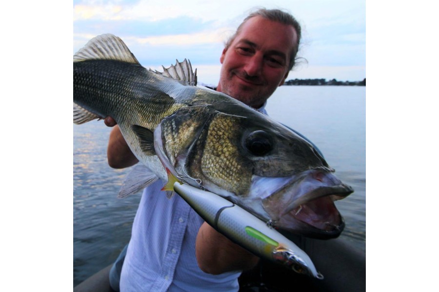 Le bon matériel pour la pêche du bar au poisson nageur